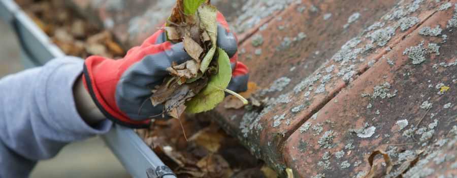 Person Taking Leaves out of a Gutter Wearing Red and Black Gloves