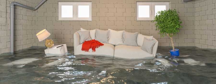 Furniture Floating in a House on a Bed of Water