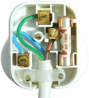 White Plug With Casing Removed Showing Fuse and Blue Green and Brown Wires