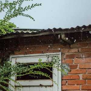 Brick Shed on Rainy Day