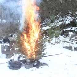 Christmas Tree on Fire in a Snowy Park While a Dog Runs Around