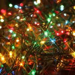 Tangled Multi Coloured Christmas Lights